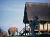 Gorah Elephant Camp - Exterior